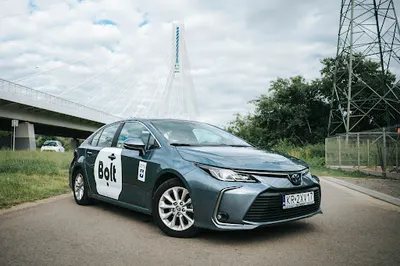 Paxrent Sp. z o.o. Taxi Rzeszów, Partner Bolt, Uber, Free Now